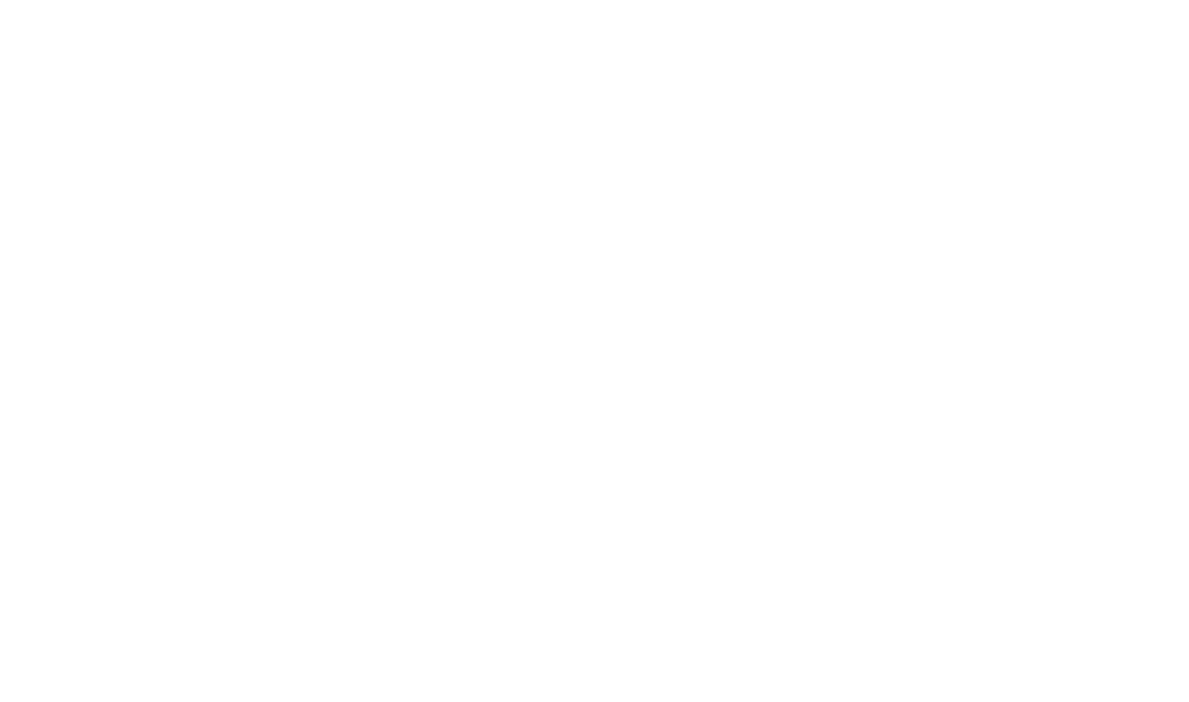 Wansoft
